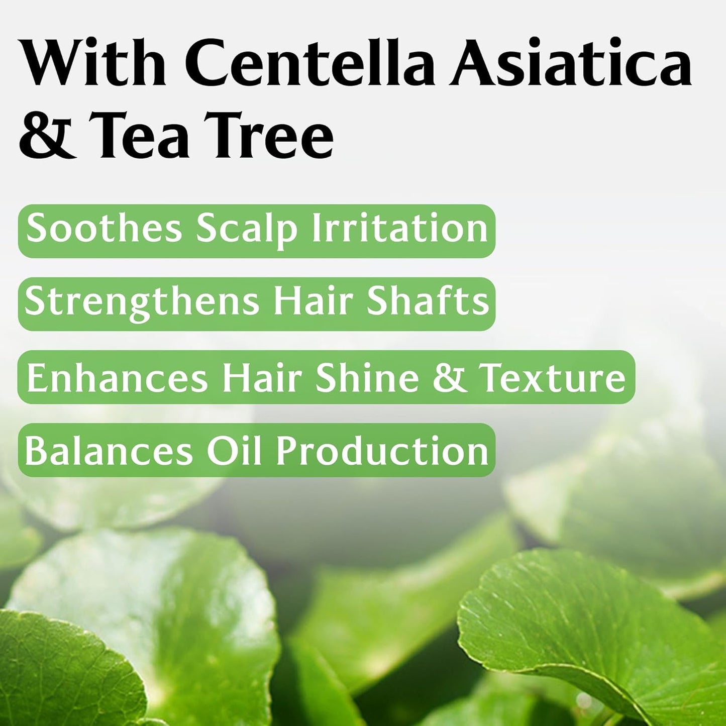 Root Re-Boot Activating Shampoo (Cica & Tea Tree) Hair Loss, Oily Scalp Care