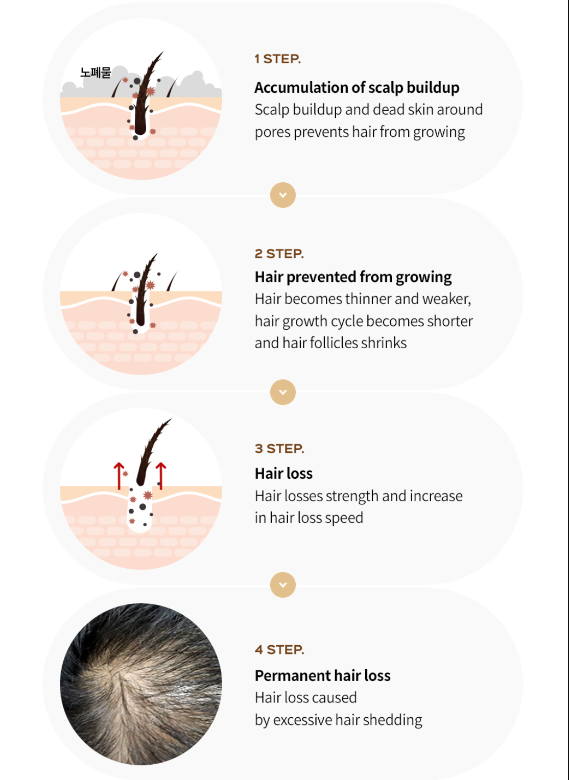 LADOR Dermatical Hair-Loss Shampoo For Thin Hair