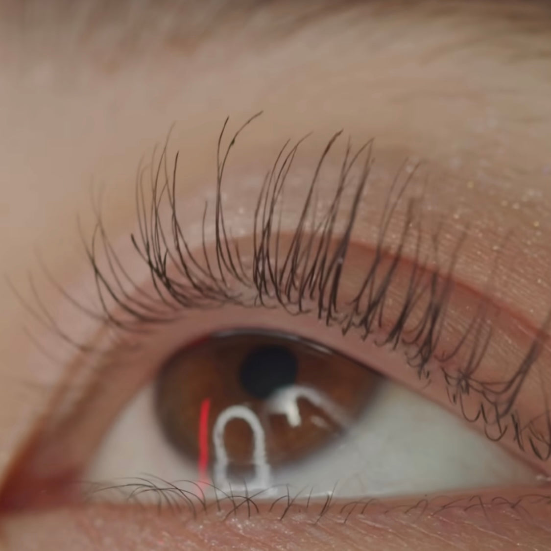 Shu Uemura Iconic Eyelash Curler