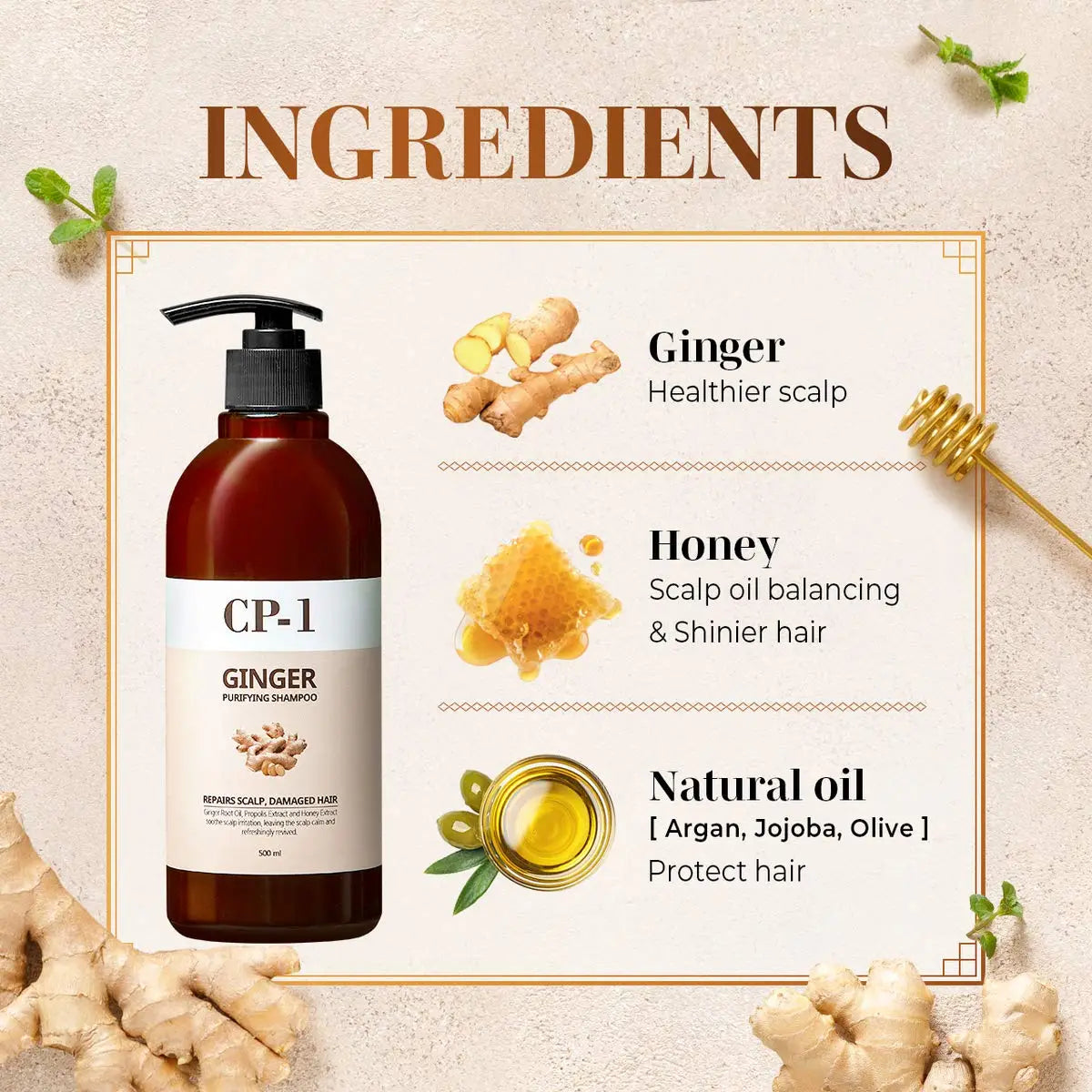 CP-1 Ginger Purifying Shampoo