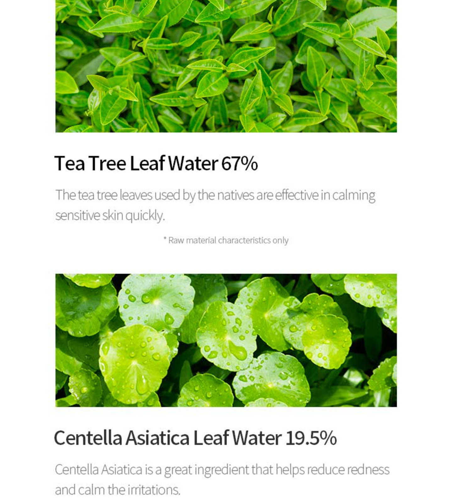 Tea Tree Relief Serum 50ml
