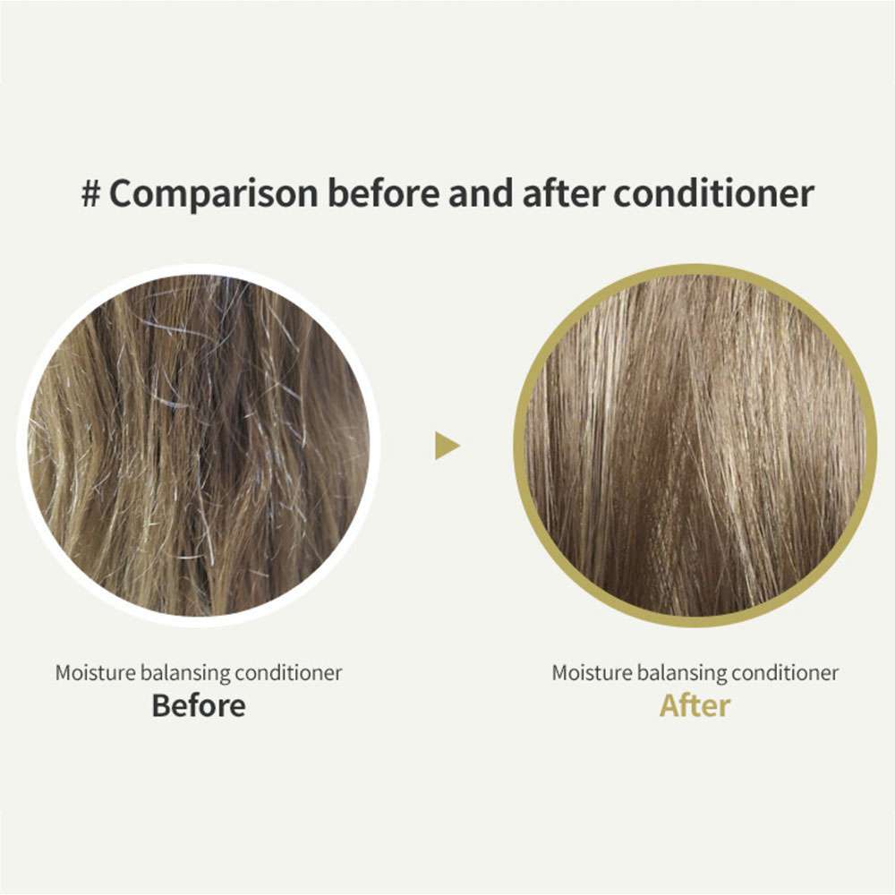 Moisture Balancing Conditioner For Dry Damaged Hair